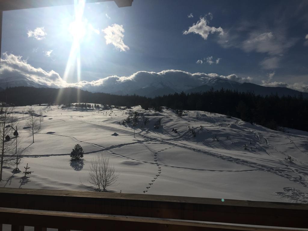 Pm Mountain View Fireside Retreat Bansko Exterior foto